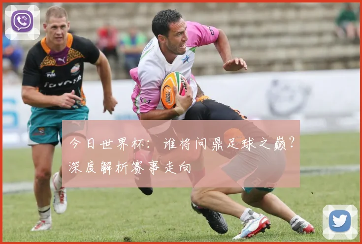 今日世界杯：谁将问鼎足球之巅？深度解析赛事走向